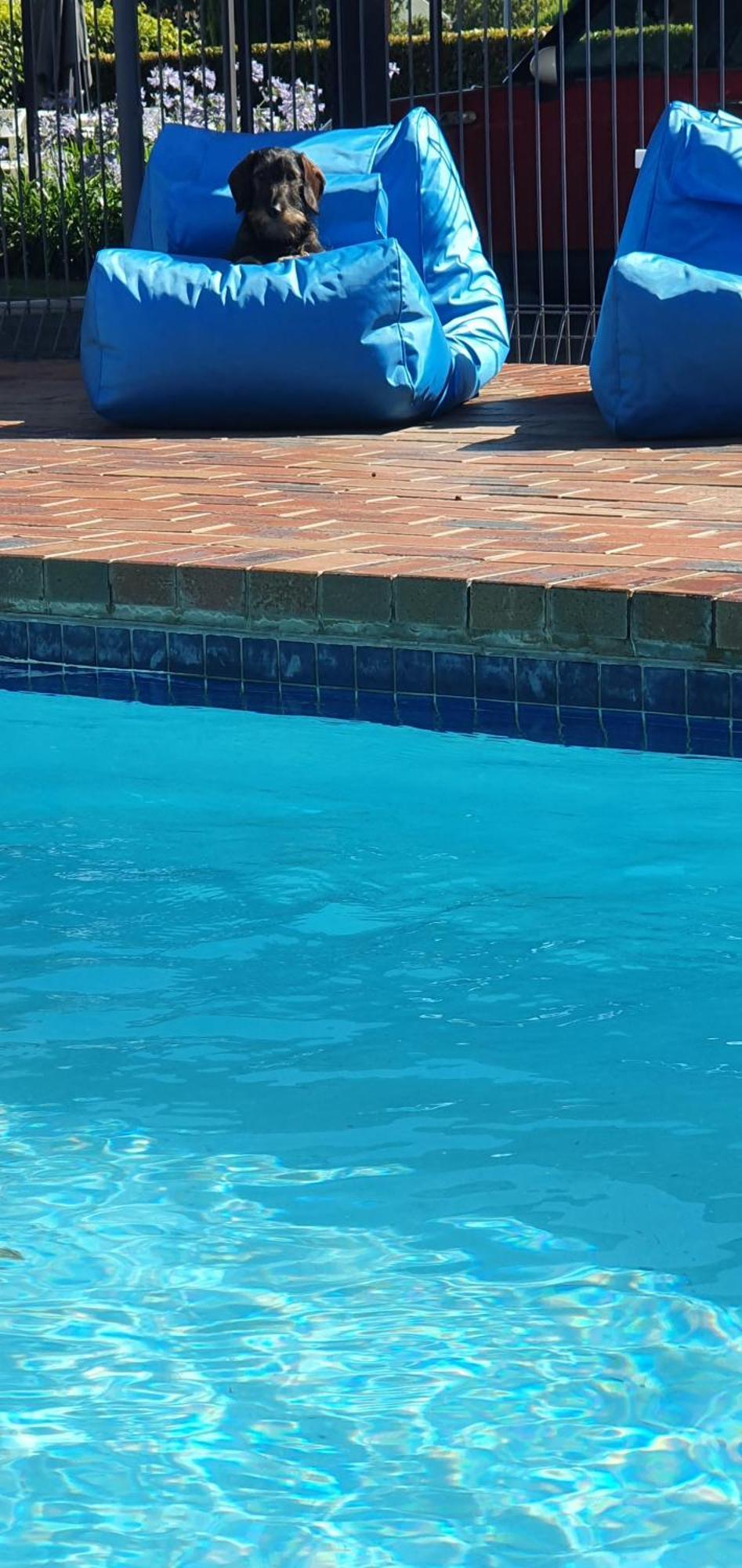 Parkview Motor Inn And Apartments Wangaratta Εξωτερικό φωτογραφία